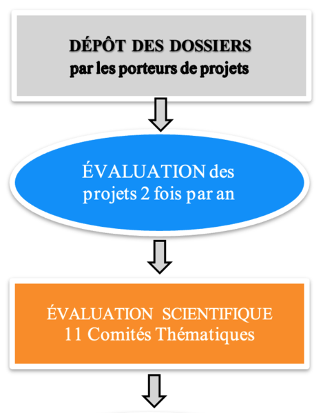 Fichier:P1.png